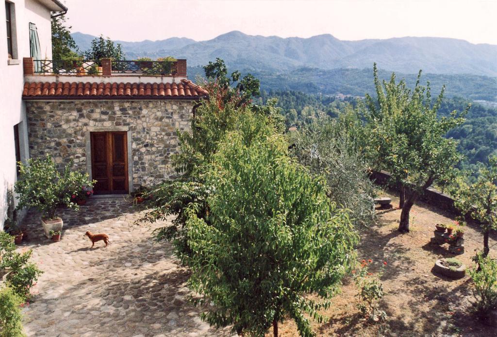 Villa Forni Rosaia Olivola  Exterior foto